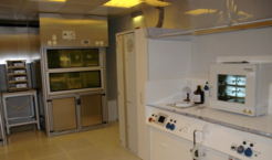 Clean room of the microstructure facility at the Max Planck Institute for Dynamics and Self-Organization.