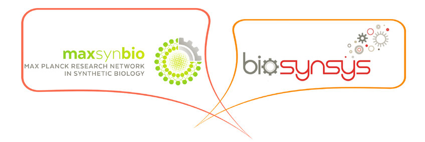 Scientific & Organisational Committee Scientific & Organisational Committee