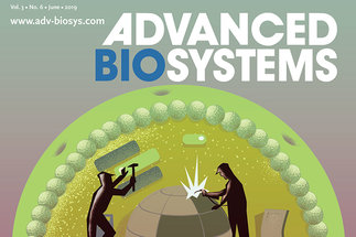 Special Issue in Advanced Biosystems