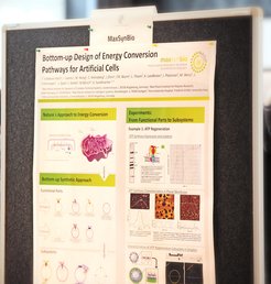 At our symposium posters are replaced by "Mini Talks".