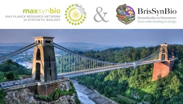Building bridges in Synthetic Biology:BrisSynBio meets MaxSynBio